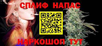 прущие грибы Обь