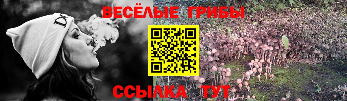 Галлюциногенные грибы MAGIC MUSHROOMS  Галлюциногенные грибы Magic Shrooms  Вход с VPN  Дятьково 