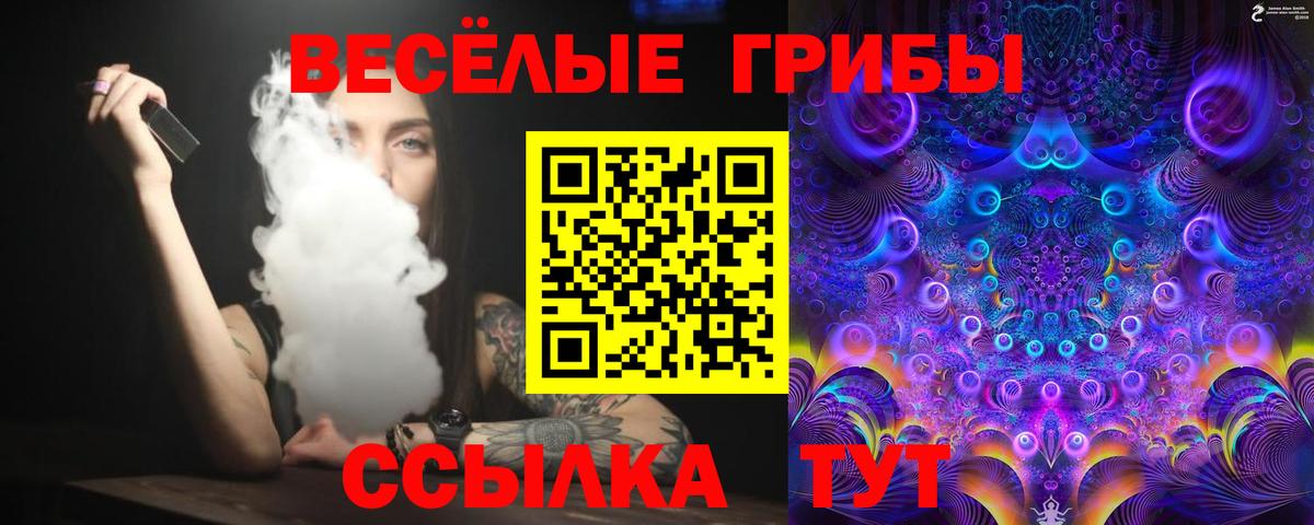 Псилоцибиновые грибы Cubensis Дятьково